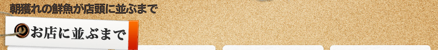 朝獲れの鮮魚が店頭に並ぶまで 朝獲れの鮮魚が店頭に並ぶまで