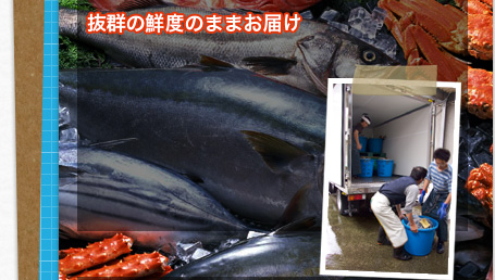 抜群の鮮度のままお届け 抜群の鮮度のままお届け