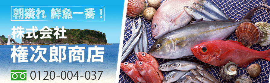 朝穫れ 鮮度一番! 株式会社権次郎商店 朝穫れ 鮮度一番! 株式会社権次郎商店